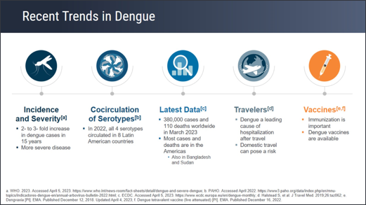 Dengue Prevention: Integrating Vaccination Into Comprehensive Control Strategies Across Populations