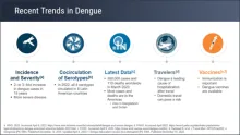 Dengue Prevention: Integrating Vaccination Into Comprehensive Control Strategies Across Populations